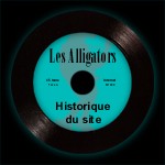 Historique du site